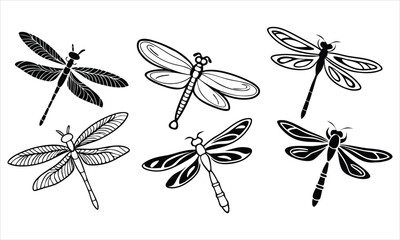 Collection of hand drawn dragonfly illustrations in black and white