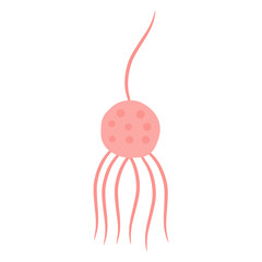 Chytridiomycota Fungi