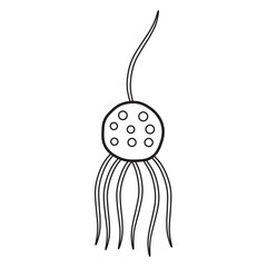 Chytridiomycota Fungi Line Icon 