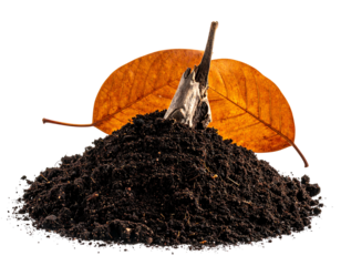 Pile of dark rich soil with autumn leaf
