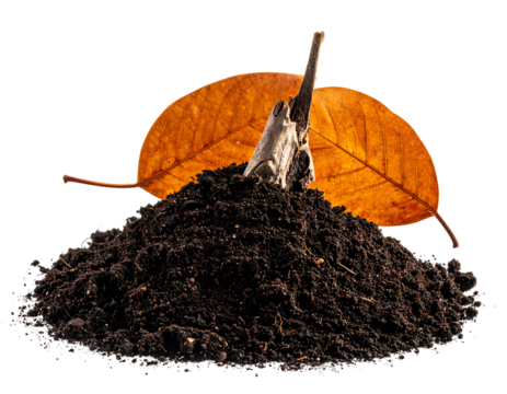 Pile of dark rich soil with autumn leaf