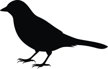 Wild sparrow silhouette