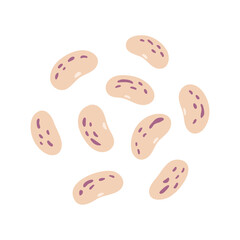Pinto Beans Illustration