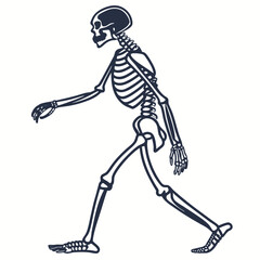 set of a skeleton silhouette