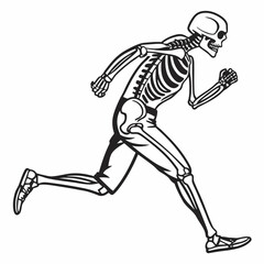 Man bone silhouette in one set of vector illustration style with white background