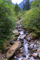 Stream Spronser Bach in the mountains above Tirol (Dorf Tirol), South Tyrol, Italy