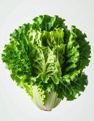 Fresh green leafy lettuce, beautifully arranged, showcases crisp textures against a light background, highlighting vibrant colors and healthy appeal
