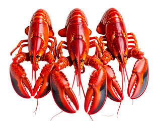 Four vibrant red lobsters arranged in a symmetrical cluster against a black backdrop