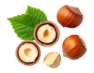 Hazelnuts, whole and halved, with green leaf