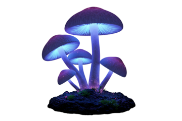 Glowing mushroom lamps isolated on transparent cutout background, cut out, png