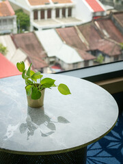 Small Potted Plant on Table with Building View
