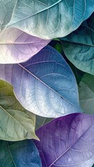 A closeup shot shows overlapping leaves with textures and unique pastel blue, green, and purple colorations casting subtle shadows