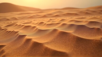 Warm evening light over textured sand ripples and dunes in a vast desert landscape.