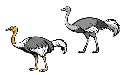 A funny vector illustration of a pink flamingo and a black crane set among other cute wild birds and animals