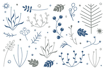 Set of plants, twigs with berries, leaves and  tree. Collection of icons isolated on  white background.  For winter illustrations. Decoration for postcards, posters, business cards and invitations. © Natalya