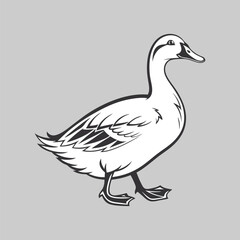 vector illustration of a duck