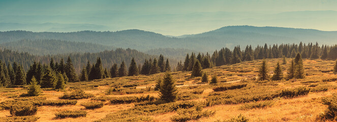 Scenic mountain landscape showing dense pine forest and rolling hills under a clear blue sky,...