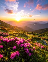 Fototapeta premium Stunning landscape featuring a mountain slope covered in vibrant pink flowers with a golden sunset painting the sky with warm hues