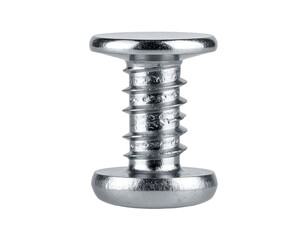 Close-up of a metallic fastener with round head and threaded shaft