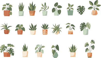 Indoor houseplants collection, decorative potted plants set, tropical foliage leaves, modern botanical greenery design, cad drawing flat vector illustration