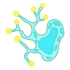 Obraz premium Myxomycota Slime Mold 