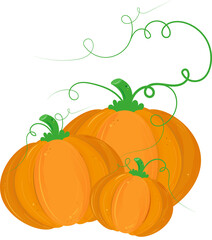 Illustration of Three Orange Pumpkins 