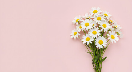 A lovely bouquet of fresh white daisy flowers with yellow centers on a soft pink background.