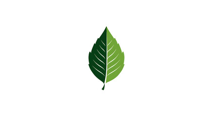 Green Leaf Icon – Eco, Nature and Organic Environment Design