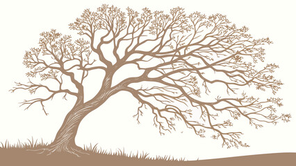 Stylized illustration of a bare, sprawling tree with intricate branches against a white background