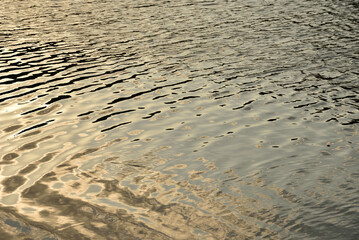 Sea surface with small waves in the sunset. Beautiful water background. Marine texture.