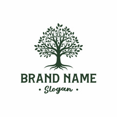 Obraz premium Elegant tree logo design with brand name and slogan, perfect for environmental businesses.