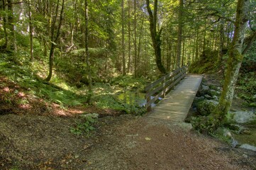 Footbridge at waterfall trail over Lofer, Austria, Europe 
