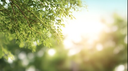 Obraz premium An abstract nature scene with blurred trees and soft sunlight creating a dreamy effect.