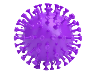 Purple virus sphere, detailed spikes