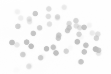 a grey shadow tree with leaves on a png background.