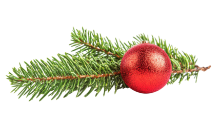 Red bauble on fir branch isolated on a transparent background