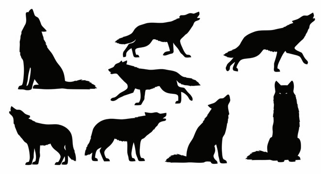 Silhouette collection of wolves in various poses, including howling and walking, against a white background.
