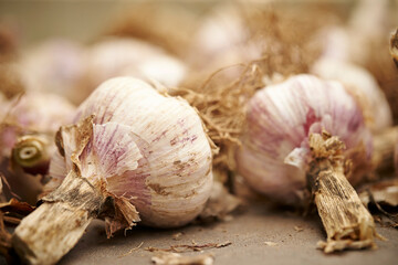 Fresh whole garlic, fresh ingredients