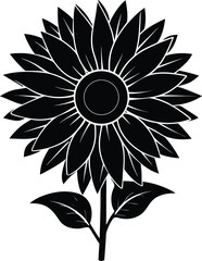 Fototapeta premium Bright Yellow Sunflower Blooming On Transparent Background