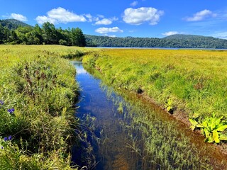 Fototapeta premium Ozenuma Lake and Ozegahara Wetland in Oze National Park, Gunma, Japan
