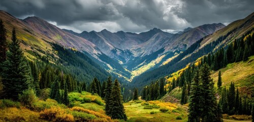 Mountain valley view with evergreen trees and autumn foliage under a cloudy sky
