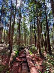 Ozenuma Lake and Ozegahara Wetland in Oze National Park, Gunma, Japan