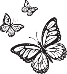 Three Black and White Butterflies in Flight butterfly
