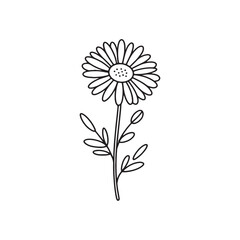 Elegant Black and White Daisy Illustration A Simple yet Striking Botanical Design with Delicate Petals and Leaves Perfect for Invitations and Art Prints