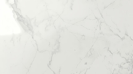 white paint background