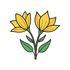 Two Yellow Flowers with Green Leaves on a vector Illustration White Background, Simple Illustration