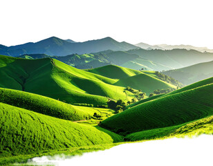 Obraz premium Lush green hills rolling gently into the distance under a vibrant sky