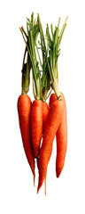 A bunch of orange carrots on a textured scarlet background