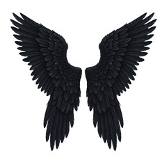Obraz premium Black angel wing PNG transparent with shadow and ethereal effect, ideal for illustration, greeting cards, and creative projects 