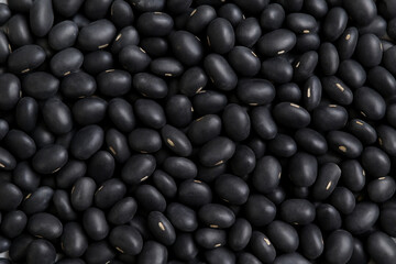 검은콩, 서리태